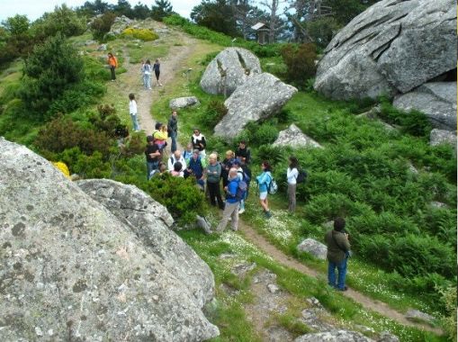 Torna la Festa delle farfalle nel santuario elbano | Attualità CAMPO NELL' ELBA